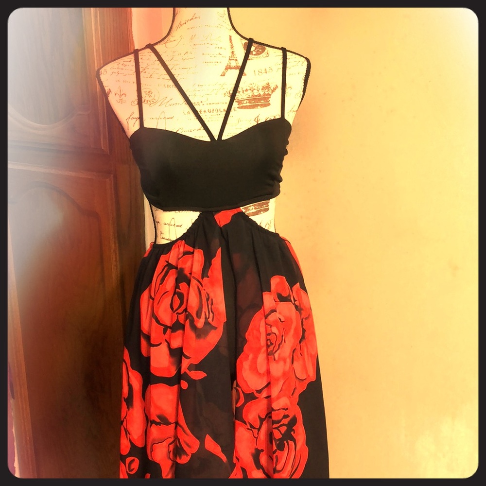 Spanish Rose gown